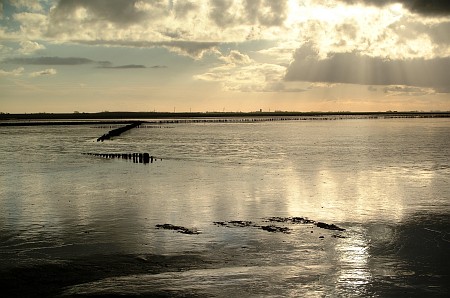 Unesco Werelderfgoed de Waddenzee