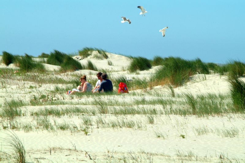 Schiermonnikoog