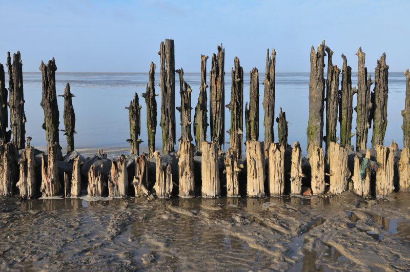 Nog steeds staat de tijd stil bij Paesens en Moddergat