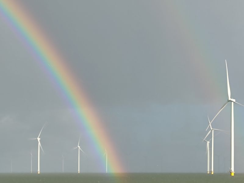 Windeieren en een pot met goud