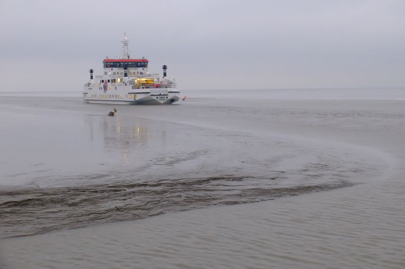 Bij Holwerd kun je wadlopen met droge voeten